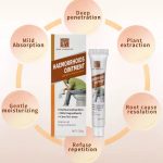 WhatsApp Image 2025-09-19 at 03.33.16_5cb56863